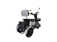 Ciclomotor Eléctrico Brenson Mobility