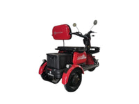 Ciclomotor Eléctrico Brenson Mobility