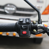 Moto Carro Eléctrico CARRY PLATÓN