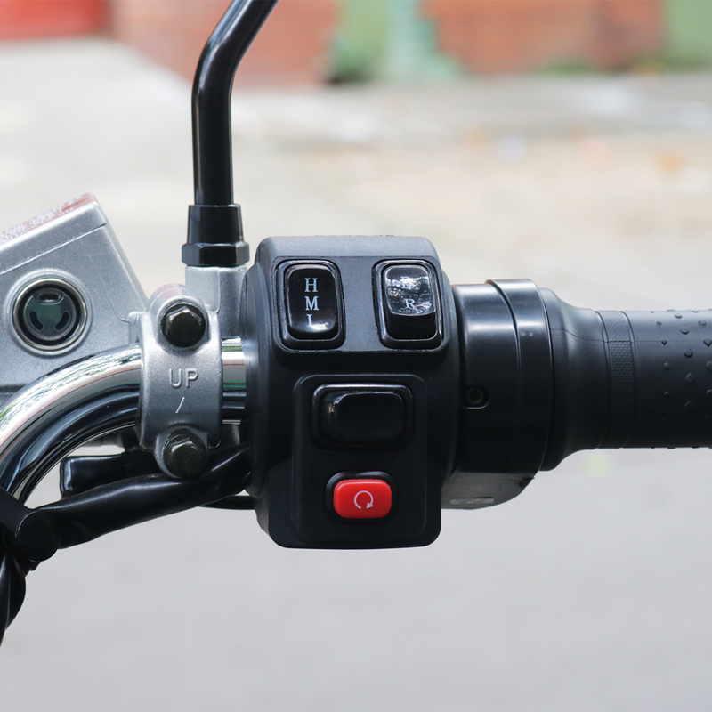 Moto Carro Eléctrico CARRY PLATÓN