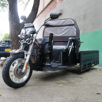 Moto Carro Eléctrico CARRY PLATÓN