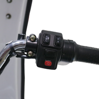 Motocarro Eléctrico CARRY FURGÓN