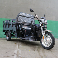 Moto Carro Eléctrico CARRY PLATÓN